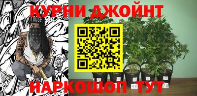 хмурый Краснознаменск
