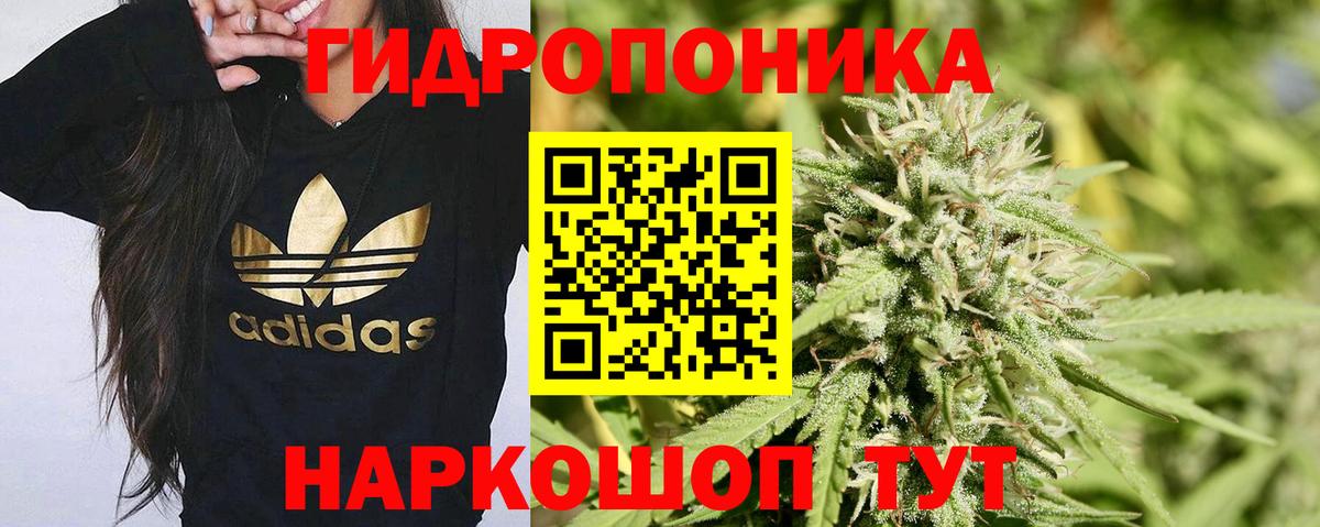 Канабис план  МАРИХУАНА планчик  Вход с VPN  Марихуана Bruce Banner  Аксай 
